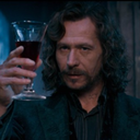 totesiriusmemes avatar