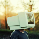 totesmagoats95 avatar