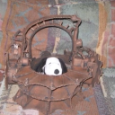 tothetoonandback avatar