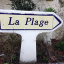 toto-of-panam avatar