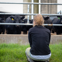 totogepi-blog avatar