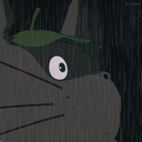 totoro-is-not-big-enough avatar