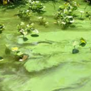 touchguyman-blog avatar