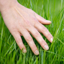 touching-grass-detector avatar