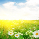 touchingrainbows avatar