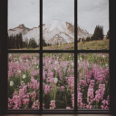 touchmysoulsposts avatar