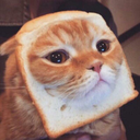 touchmyunicorn avatar