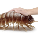 touchstarvedandlonely avatar