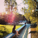 tough-life-being-a-foodie avatar