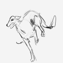 toughlucksnow avatar