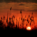 toujoursattendre avatar