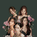 toujoursbelle309 avatar