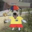 tourettictrans avatar