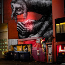 touringshadows avatar