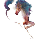 tout-sur-la-vie avatar