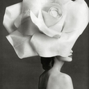 toutvadiaparaitre avatar