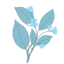 townstherapist avatar