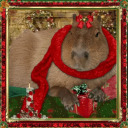 toxic-fantasies avatar