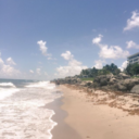 toxic-tolerance avatar