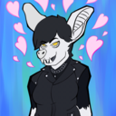 toxickiwi-blog avatar