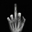 toxicly-wasted avatar