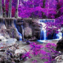 toxikcherrys16 avatar