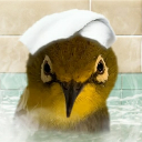 toyo-nugget999 avatar