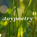 toypoetry avatar