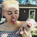 tr0pical-peace avatar