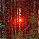 traaaans-writes avatar