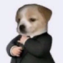 traanquualize avatar