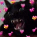 trabandovidas avatar