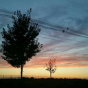 traceablesecrecy avatar