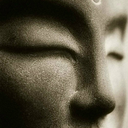 tracetheradianceback avatar