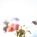 tracing-skies avatar