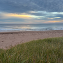 trackingwieiad avatar