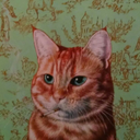 traditionalfool avatar