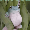 tragicturtlee avatar