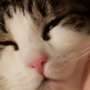 trailingtimes avatar