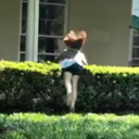 train-of-thot avatar