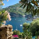 trainleavesthismorning avatar