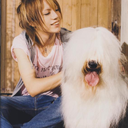 trainsinthesky-blog avatar