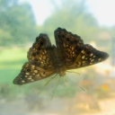 trainsofthought avatar