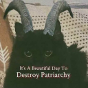 traitoroustilefloors avatar