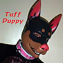 trajanpuppy avatar