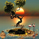 trakkatingas-blog avatar