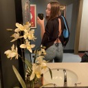 trammellsoup11 avatar