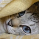 tranquilloqlisport avatar