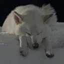 tranquilwilds avatar