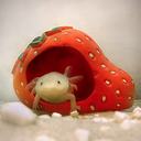 trans-axolotl avatar